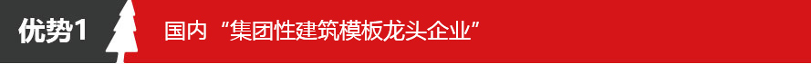 五棵松牌清水模板 大板 10